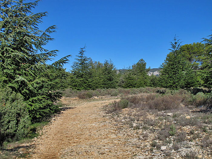 Um diese Jahreszeit ist man völlig alleine auf den Wegen ...