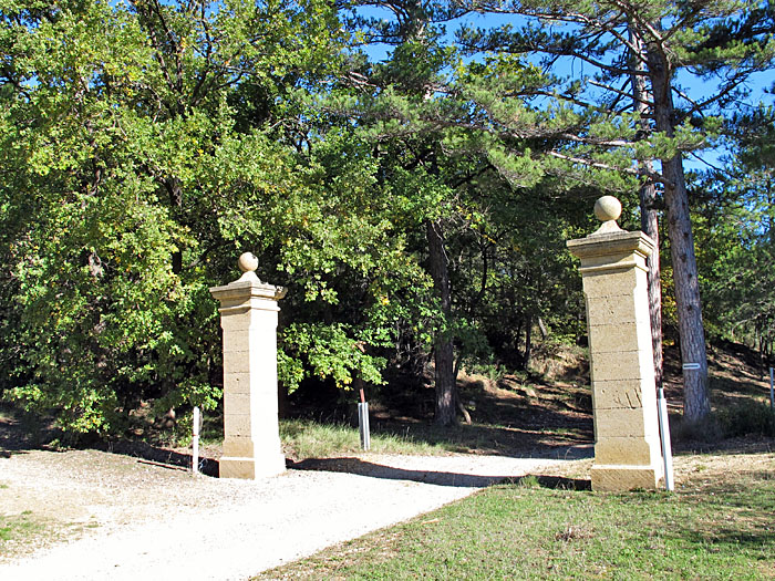 Säulen säumen den Ausgang des Waldes ...