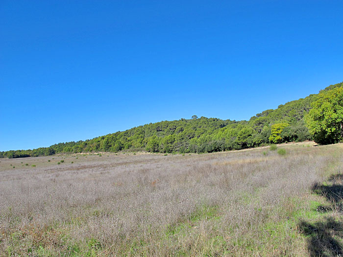 ... nun geht es durch Wiesenflächen weiter