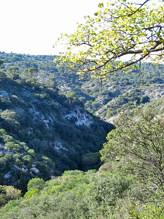 Durch diese Schlucht führt nachher der Weg