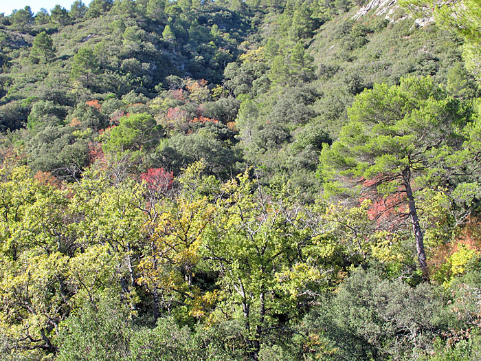 Die Farben ändern sich nur zaghaft