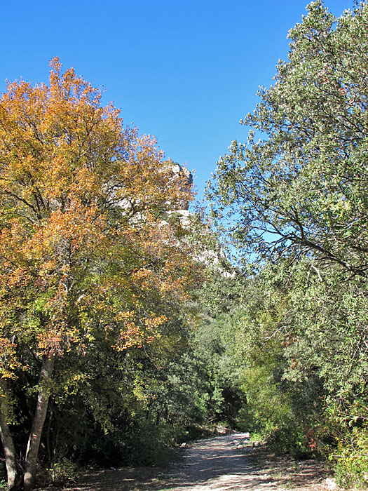 Am Zugang zur Schlucht
