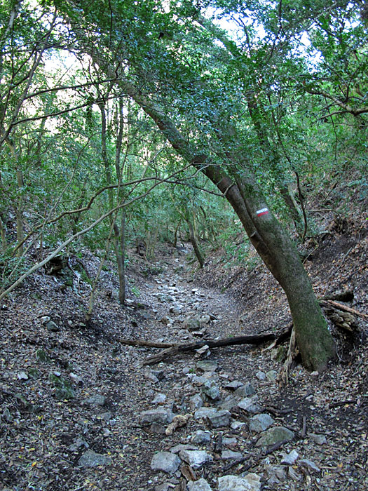 Manchmal muss man sich bücken ...