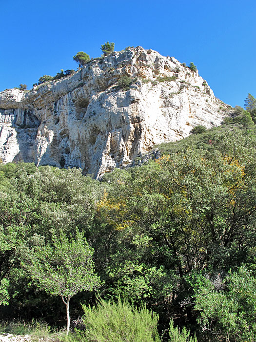 Endlich wieder Licht