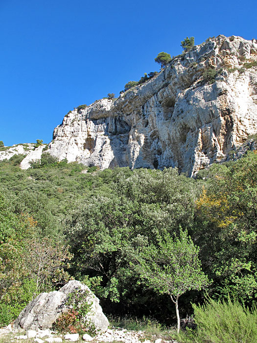 Nichts wie raus aus dem dunklen, feuchten Tal