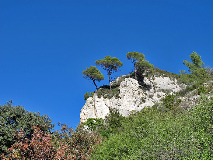... in höhere Gefilde hinauf