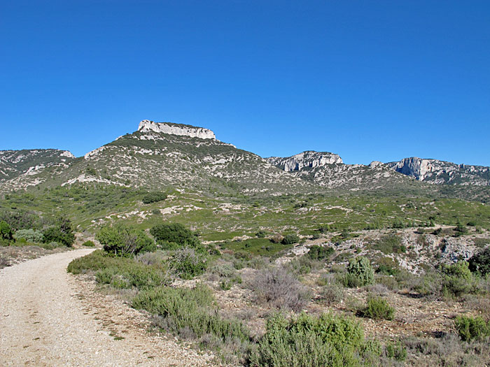 Hier oben hat man wieder freie Sicht