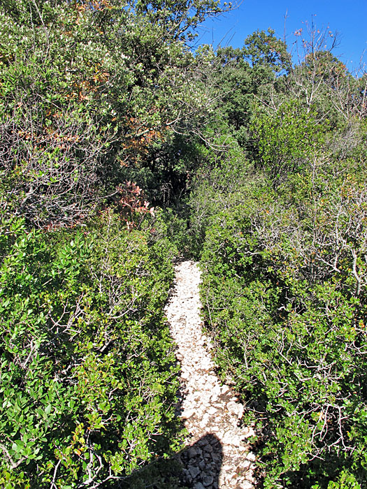 Beim Abstieg werden die Wege wieder ziemlich schmal