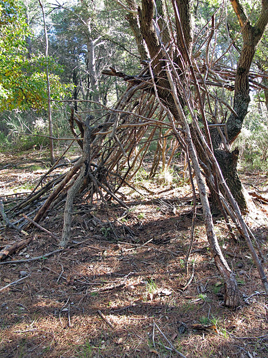 Ob hier Bear Grylls einen Unterschlupf baute? ;-)