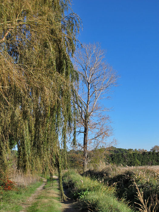 Kurz vor Schluss habe ich mich doch nochmal verlaufen :-(