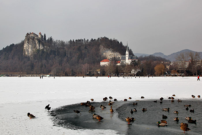Blick über den zugefrorenen Bleder See