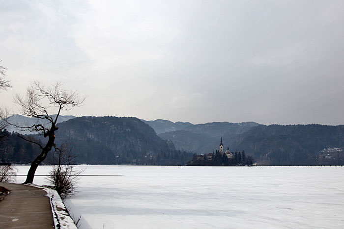Blick zur Insel Blejski Otok ...