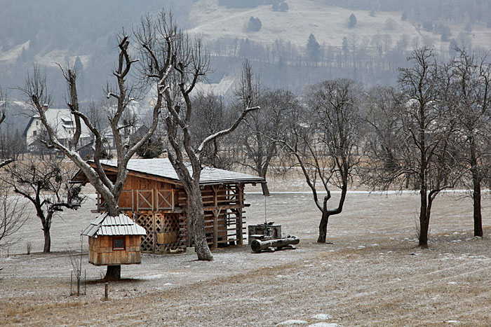 Nette Baumhütte