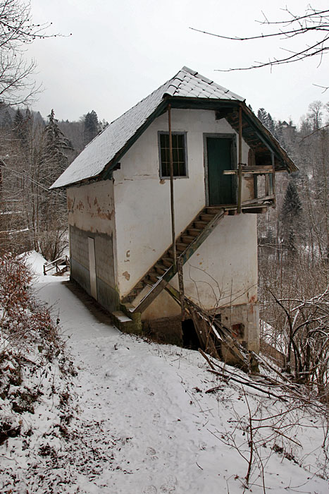 Verlassenes Haus im Wald