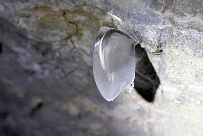 Sieht aus wie ein Zahn