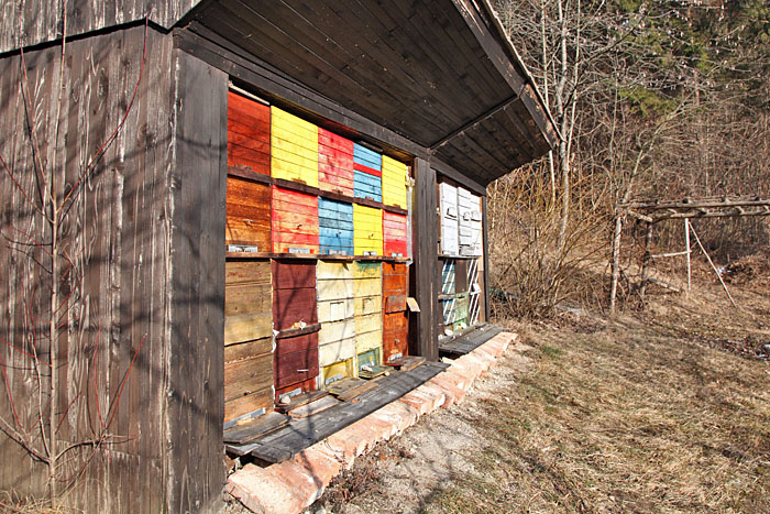 Es dauert noch, bis die Bienen fliegen