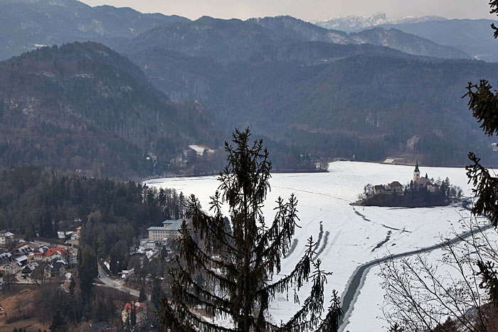 Blick über den Bleder See