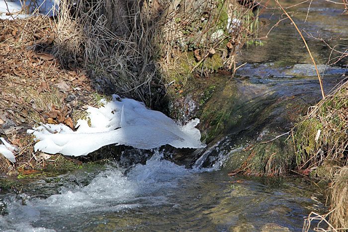 Bei der "Wärme" tauen auch die Bäche auf