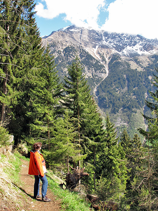 Auf schmalen Wegen wandern wir Richtung Tal