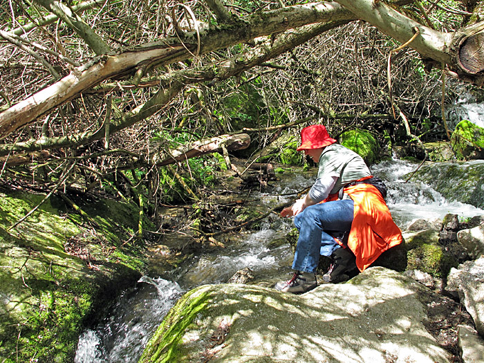 Abkühlung am eiskalten Wasser