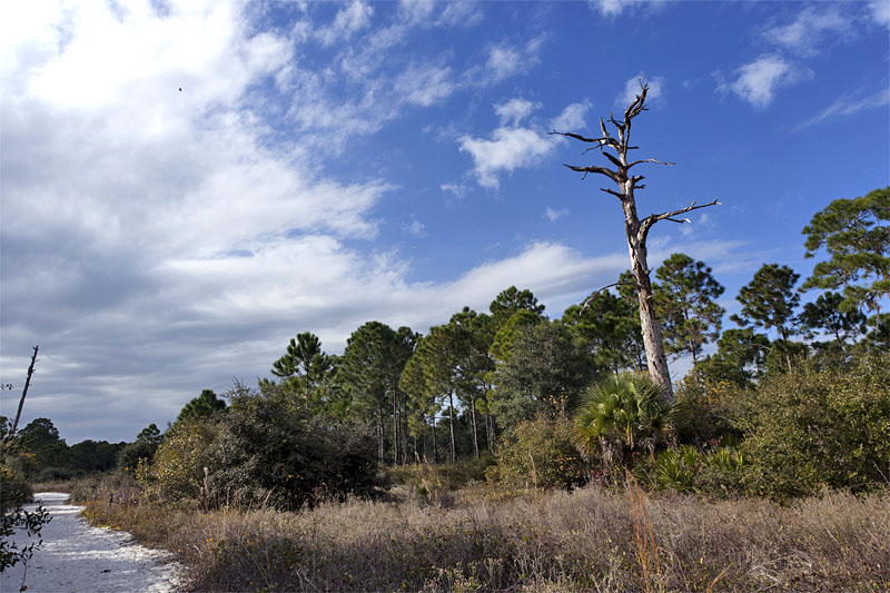 Recht ist noch blauer Himmel, von links schieben sich Regenwolken vor die Sonne :-(