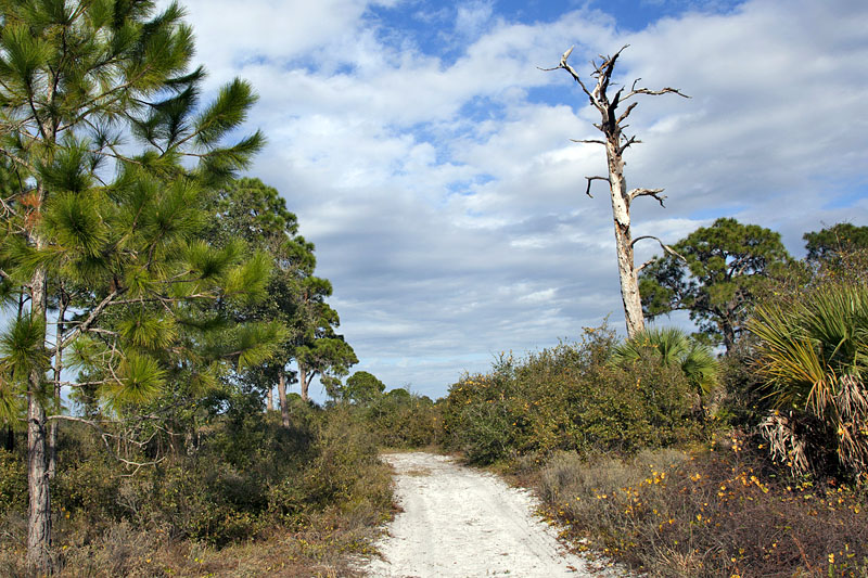 Sandige Wege kennzeichnen den Oscar Scherer Blue Trail