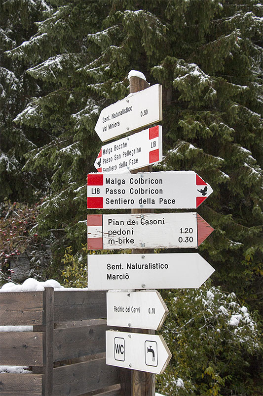 Wir laufen zunächst Richtung Malga Colbricon