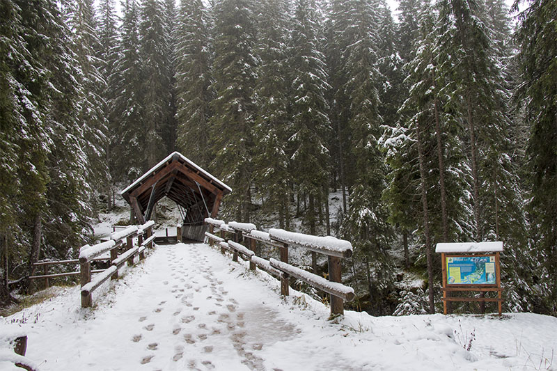 Brücke über einen eiskalten Bach