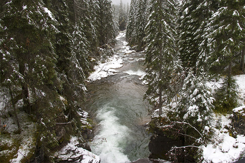 Da möchten wir jetzt nicht baden gehen ;-)