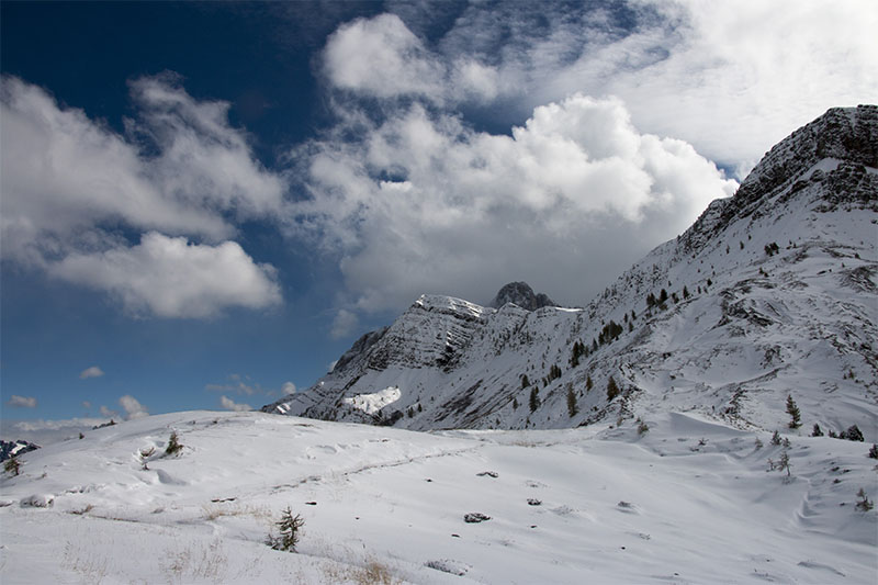Weiß und blau, die bayrischen Farben ;-)