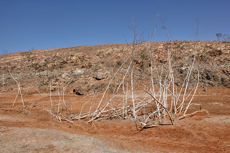 ... an manchen Stellen ist das Grünzeug leider schon wieder abgestorben