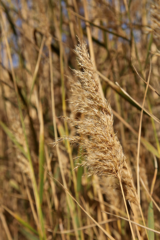 ... hier aus der Nähe gesehen