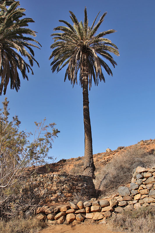 Ein alter Brunnen ...