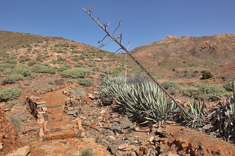 Jetzt wird der Weg anspruchsvoller