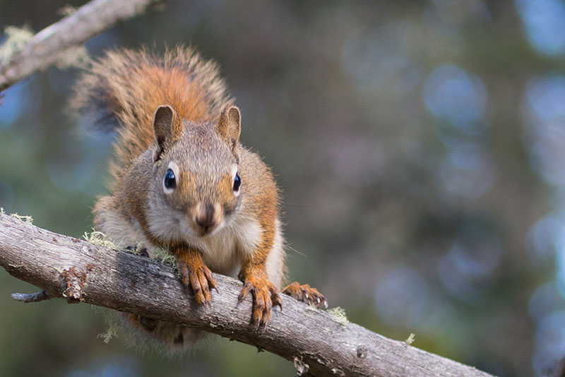 Was wollen die Menschen hier nur?