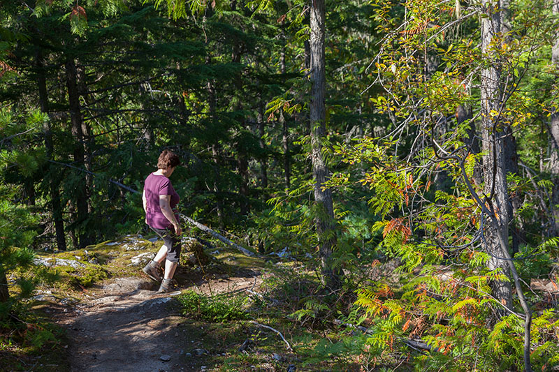 Auf dem Cedar Tree Trail