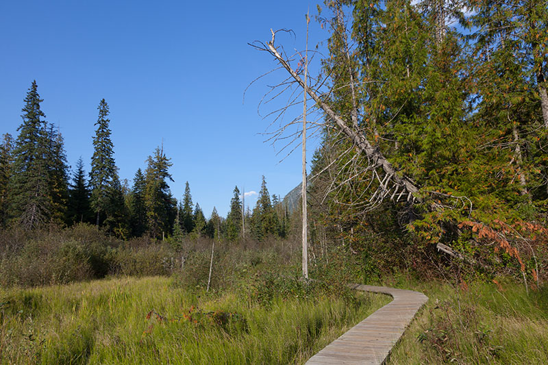 Durch die Holzstege kommt man trockenen Fußes über den Trail