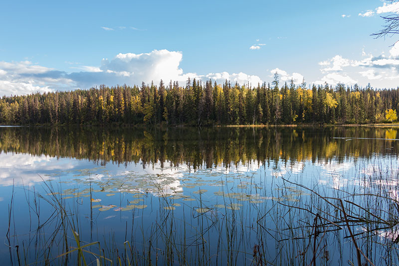 Zunächst führt die Wanderung ...