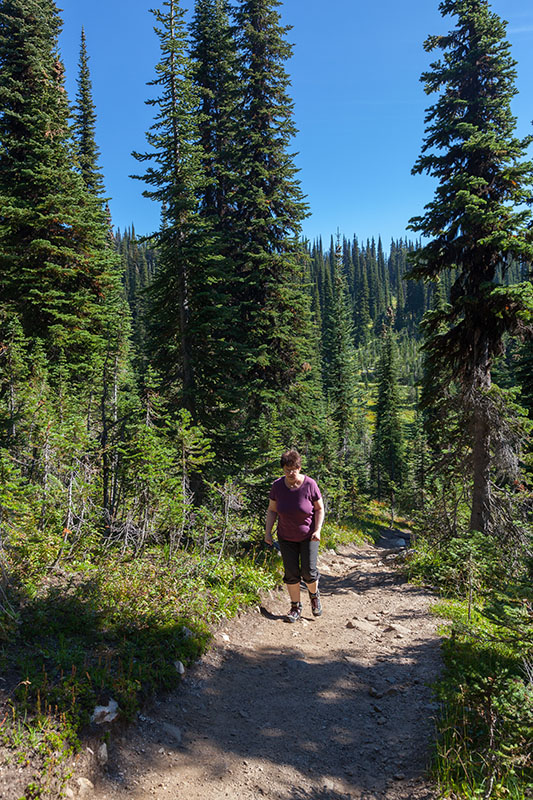 Der Firehouse Trail führt zunächst ein ganzes Stück bergauf