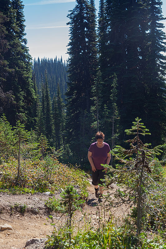 ... und noch weiter bergauf