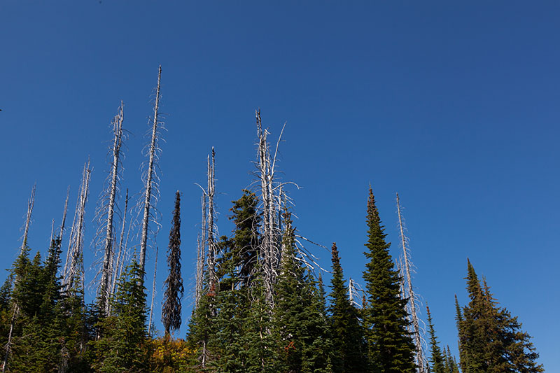 ... unter blauem Himmel