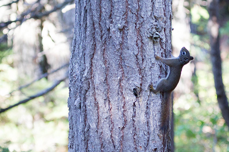 ... treffen wir auf gefährliche Kreaturen ;-)