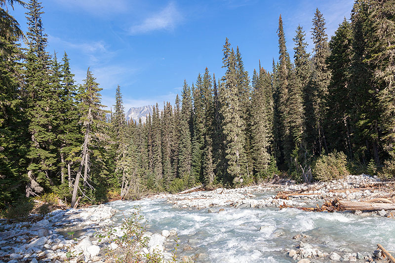 Der Illecillewaet River