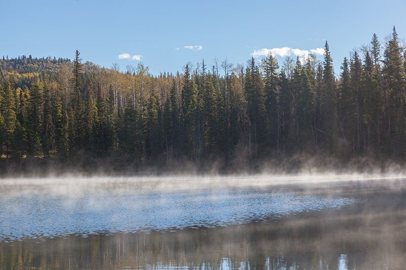 Nebelschwaden über dem See