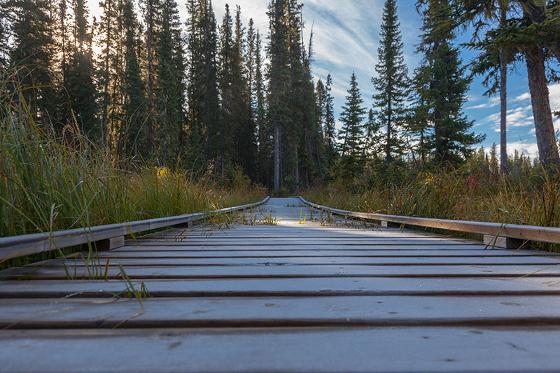 Raureif auf der Holzbrücke