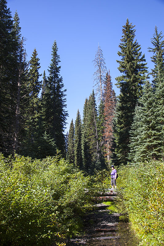 Jetzt wird der Weg kurz unübersichtlich ...