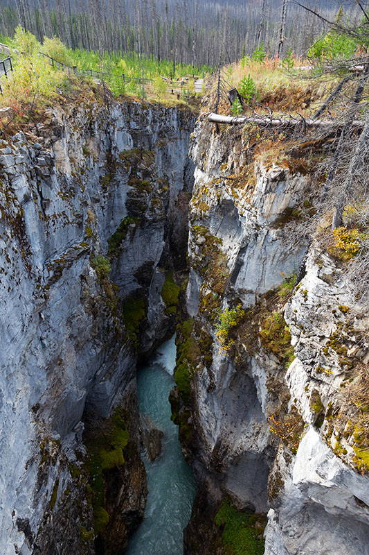 Fehlt nur noch das Schild "Jumping not permitted" ;-)