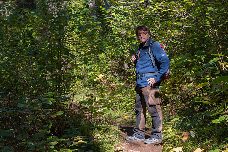 Ab durch das Gestrüpp