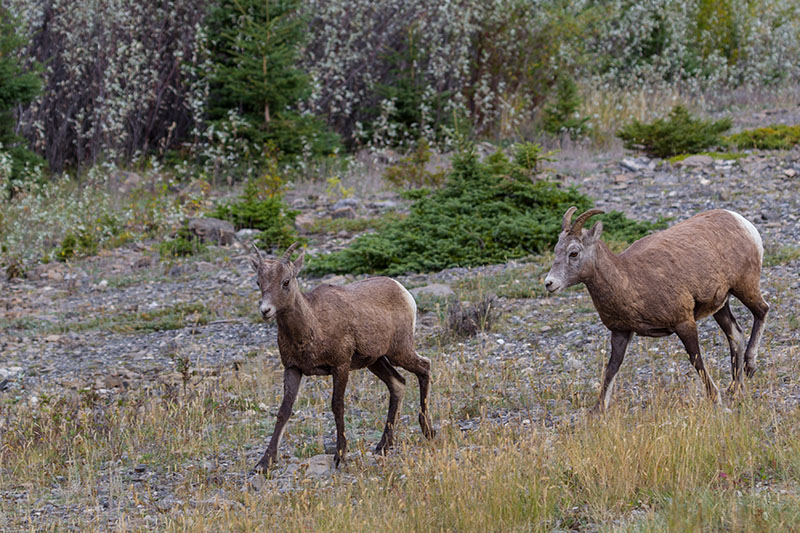 Jetzt aber schnell weiter
