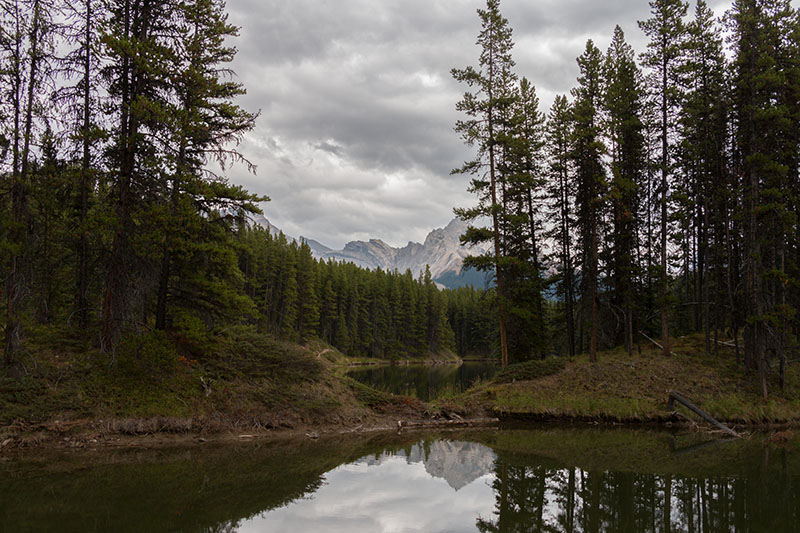 Ein kleiner See neben dem Moose Lake 1